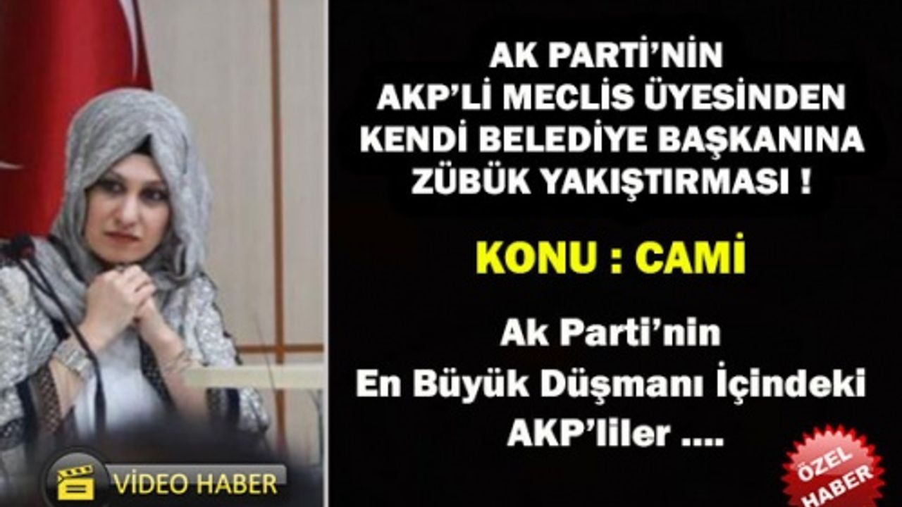 Ak Parti’nin AKP’li Meclis Üyesi Belediye Başkanına Zübük Dedi