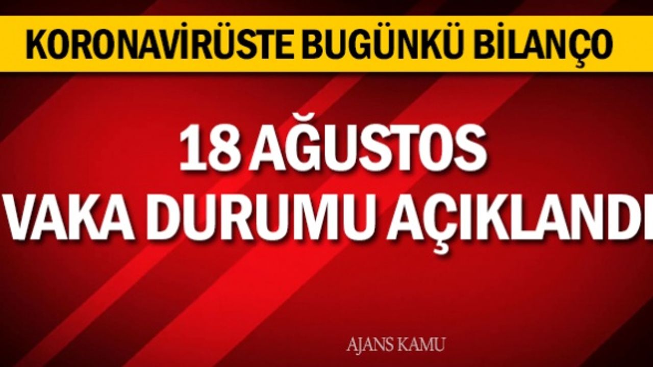 Türkiye 18 Ağustos koronavirüs (coronavirüs) tablosu