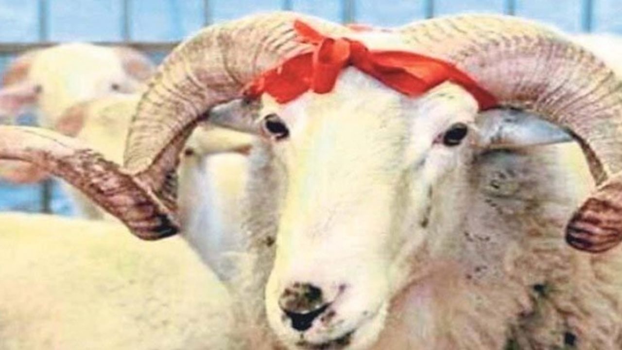 Kurban Bayramı ne zaman? 2021 Kurban Bayramı tatili kaç gün?