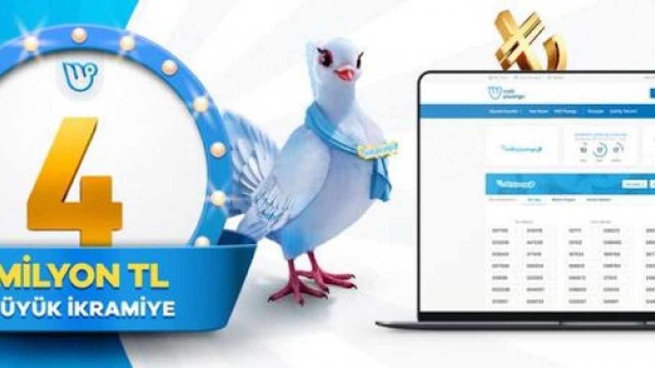 Mayıs 2021 Milli Piyango sorgulama ekranı