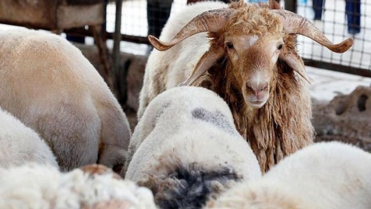 Kahramanmaraş bayram namazı vakti saat kaçta?
