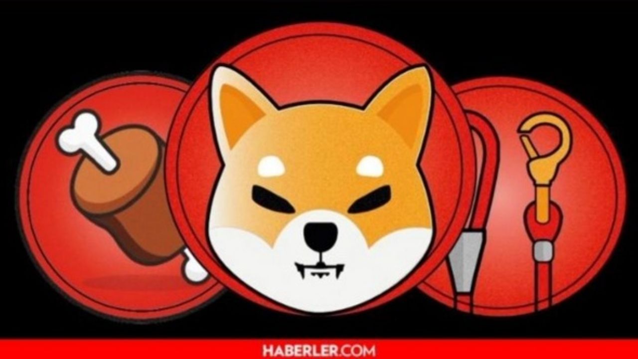 Shiba Kraken'de listelendi mi?