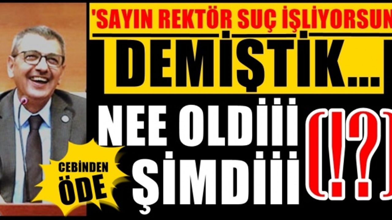 Suçu İşleyen Rektör, Parayı Ödeyen İse Üniversite