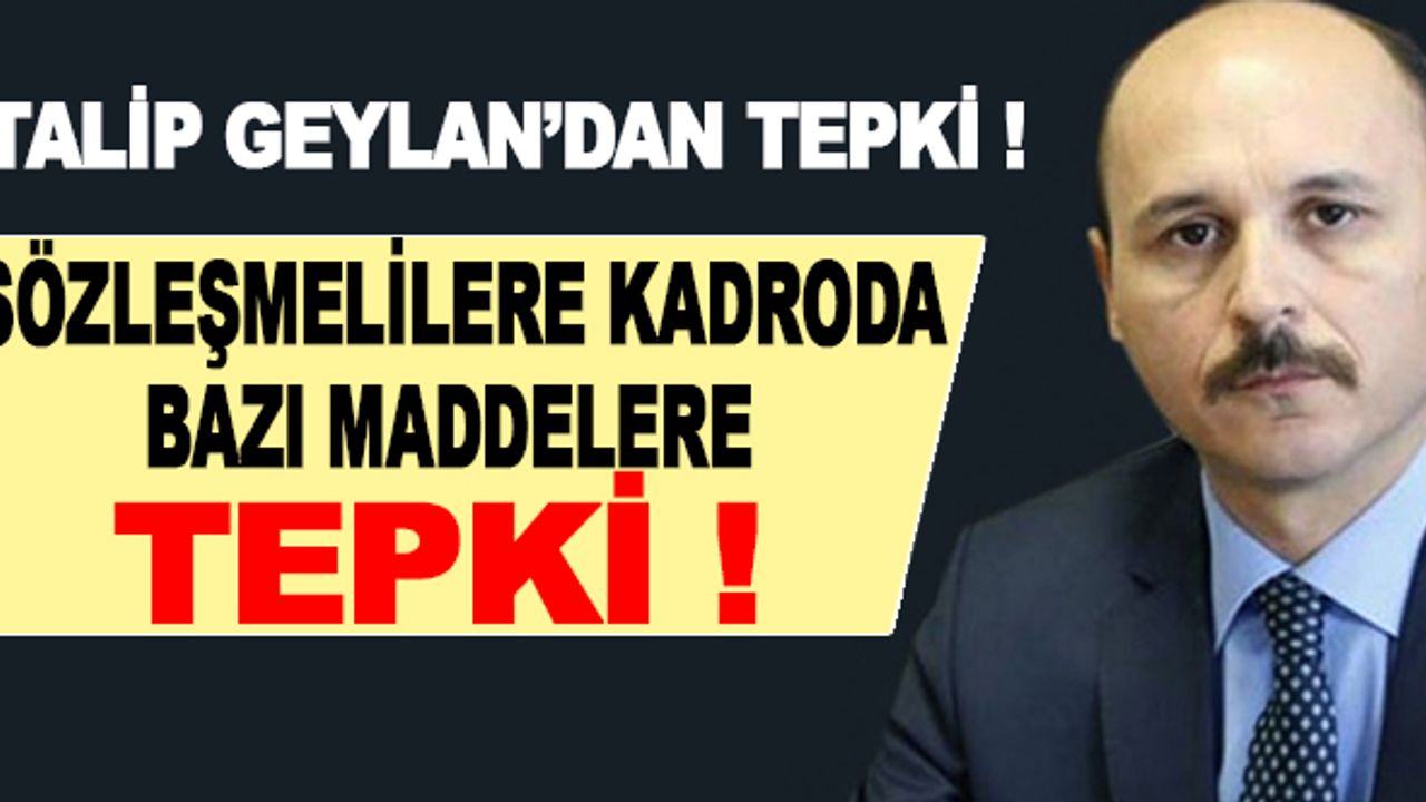 Talip Geylan'dan, sözleşmelilere kadro düzenlemesinin bazı maddelerine tepki!