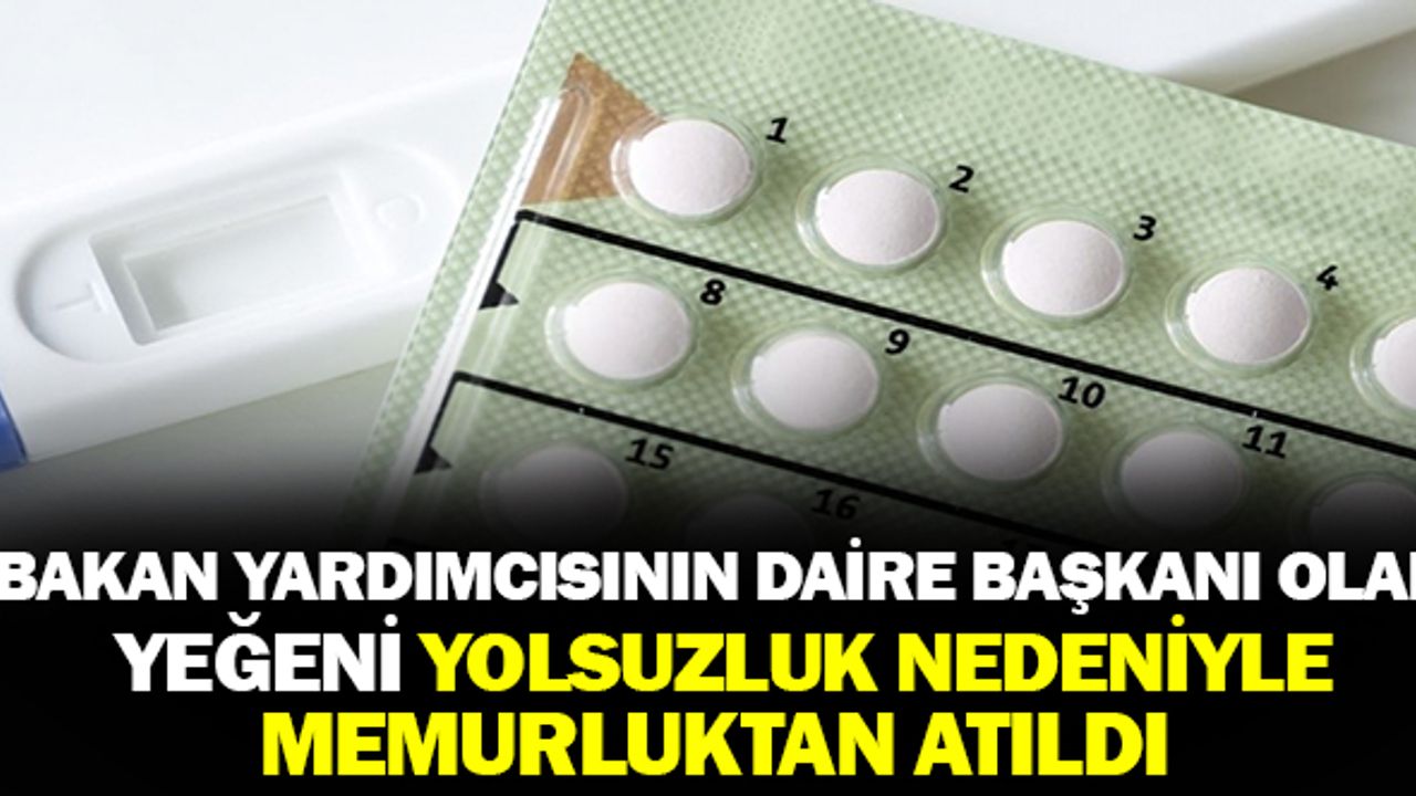 Bakan Yardımcısının Yeğeni Yolsuzluk Nedeniyle Memuriyetten Atıldı
