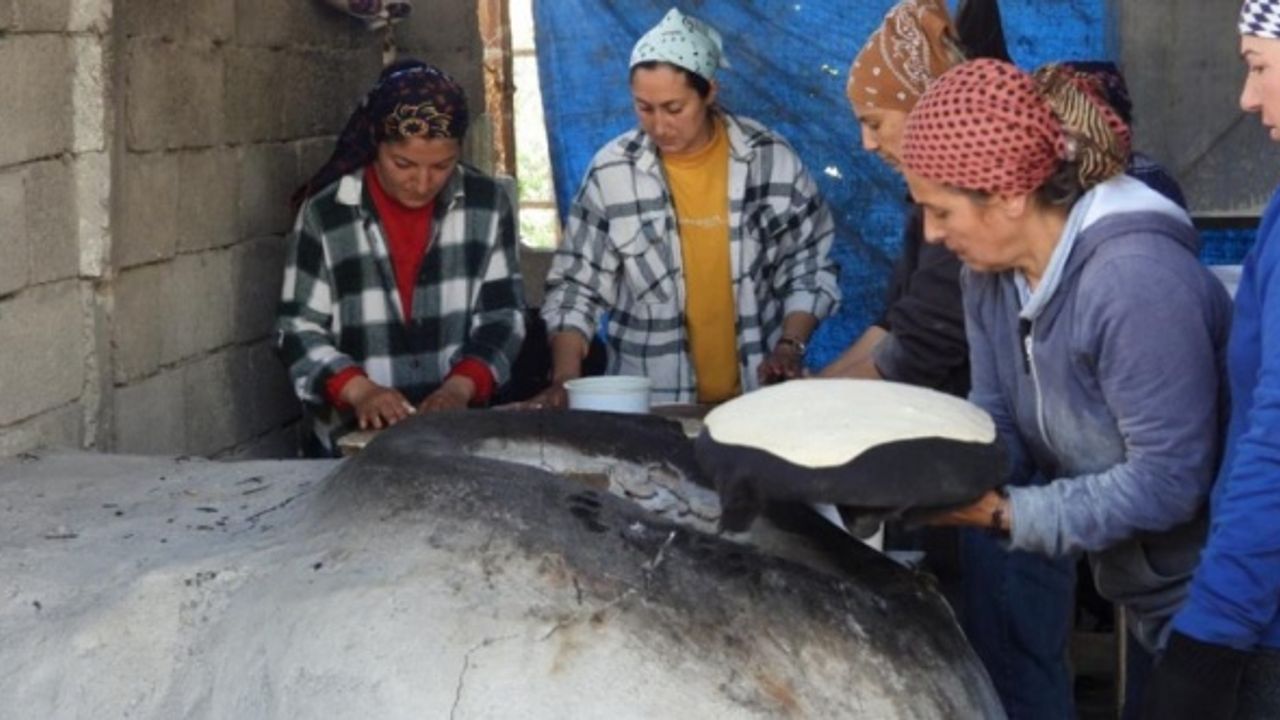 Depremzedeler, diğer depremzedeler için ekmek pişiriyor
