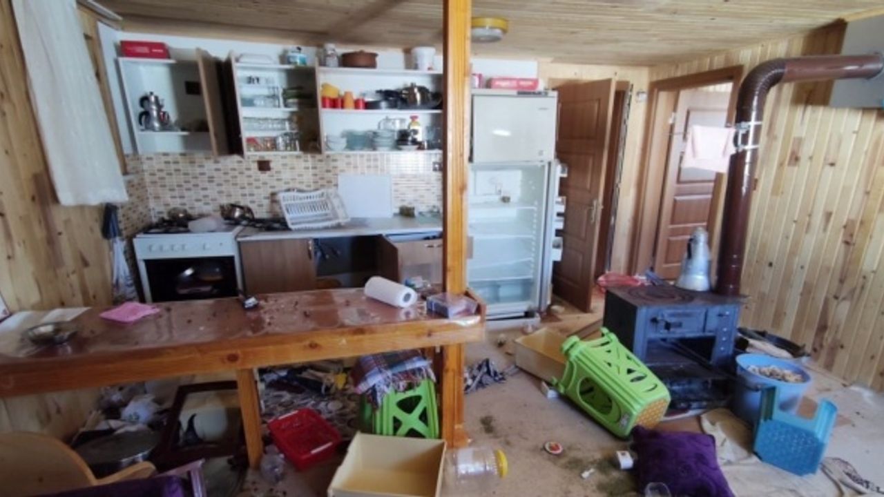 Dev ayı 4 aydır yaylada girilmedik ev bırakmadı