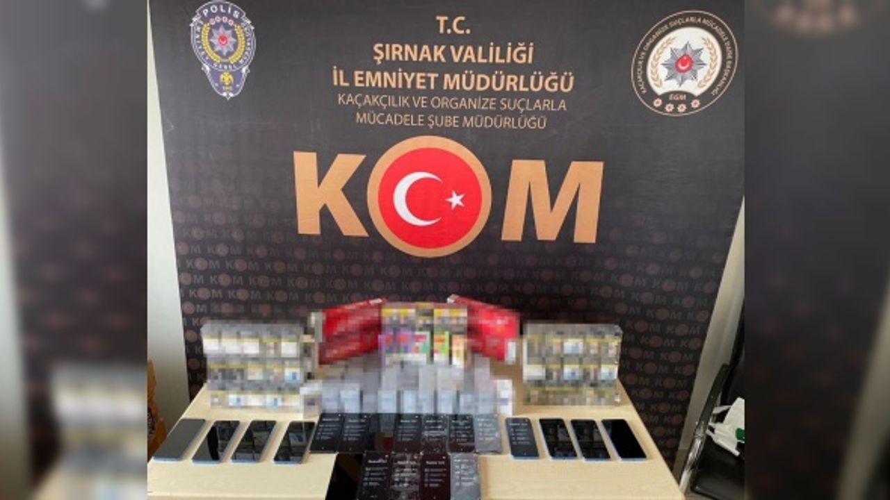 Şırnak'ta terörün finans kaynaklarına operasyon: 59 gözaltı