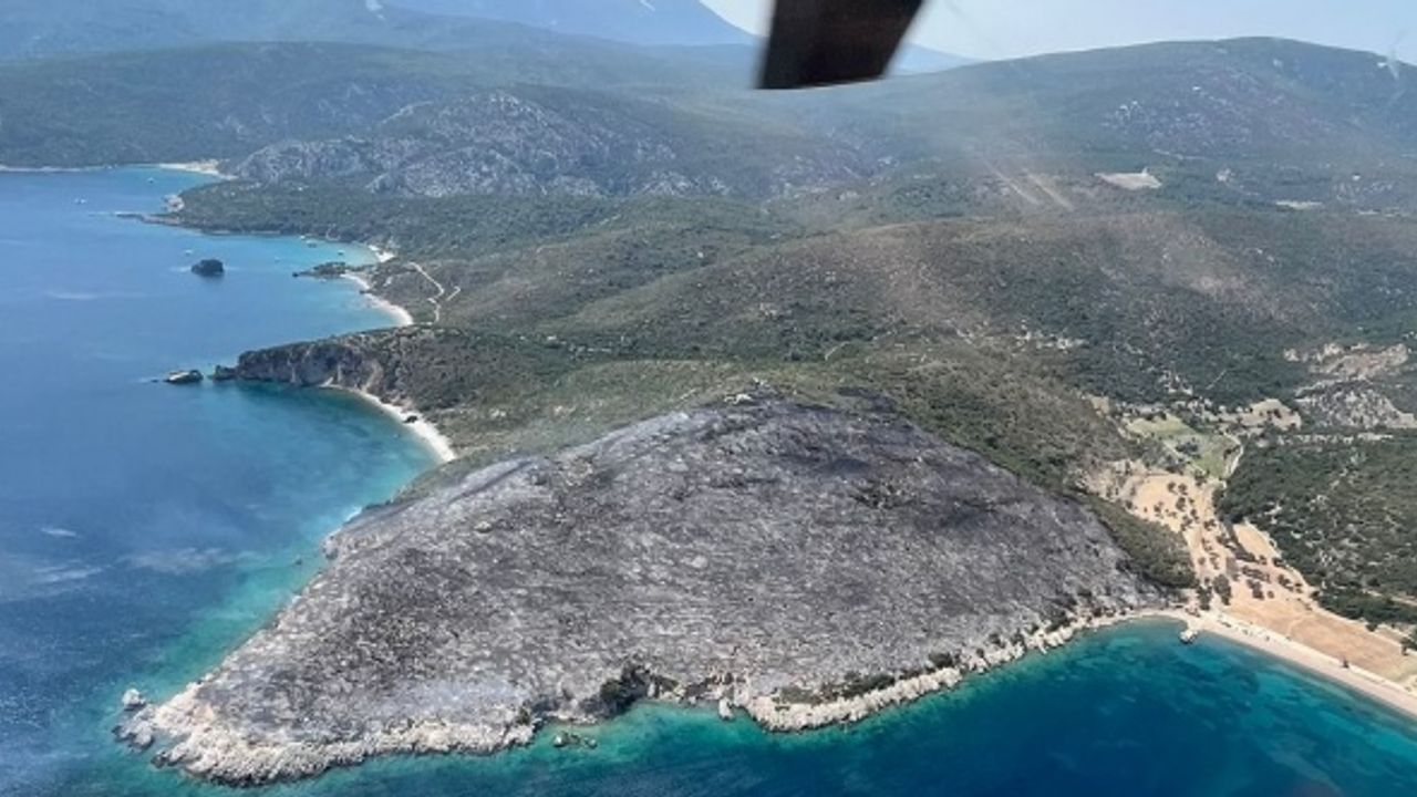 İzmir’deki orman yangınında gözaltına alınan şüpheliler serbest bırakıldı