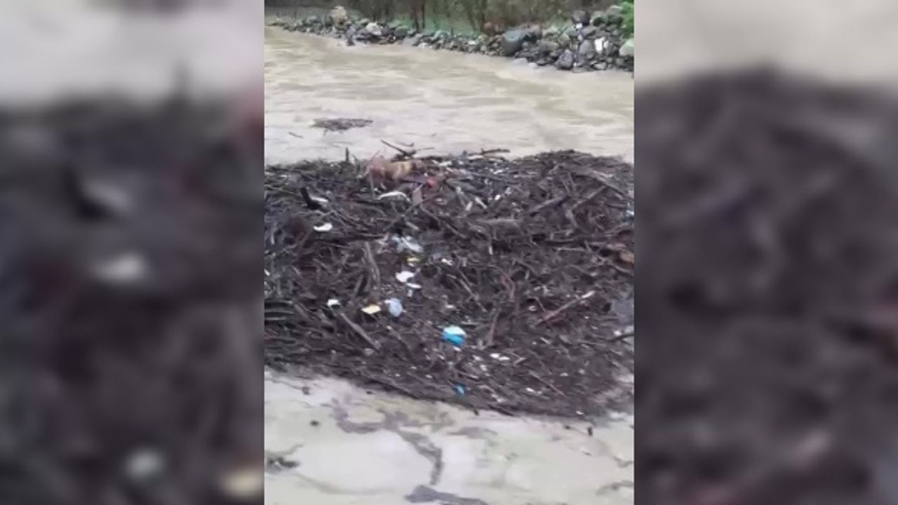 Melen Çayı’na düşen köpek, odun parçalarının üstünde sürüklendi
