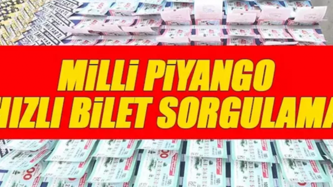 MİLLİ PİYANGO büyük ikramiye ve amorti sorgulama ekranı