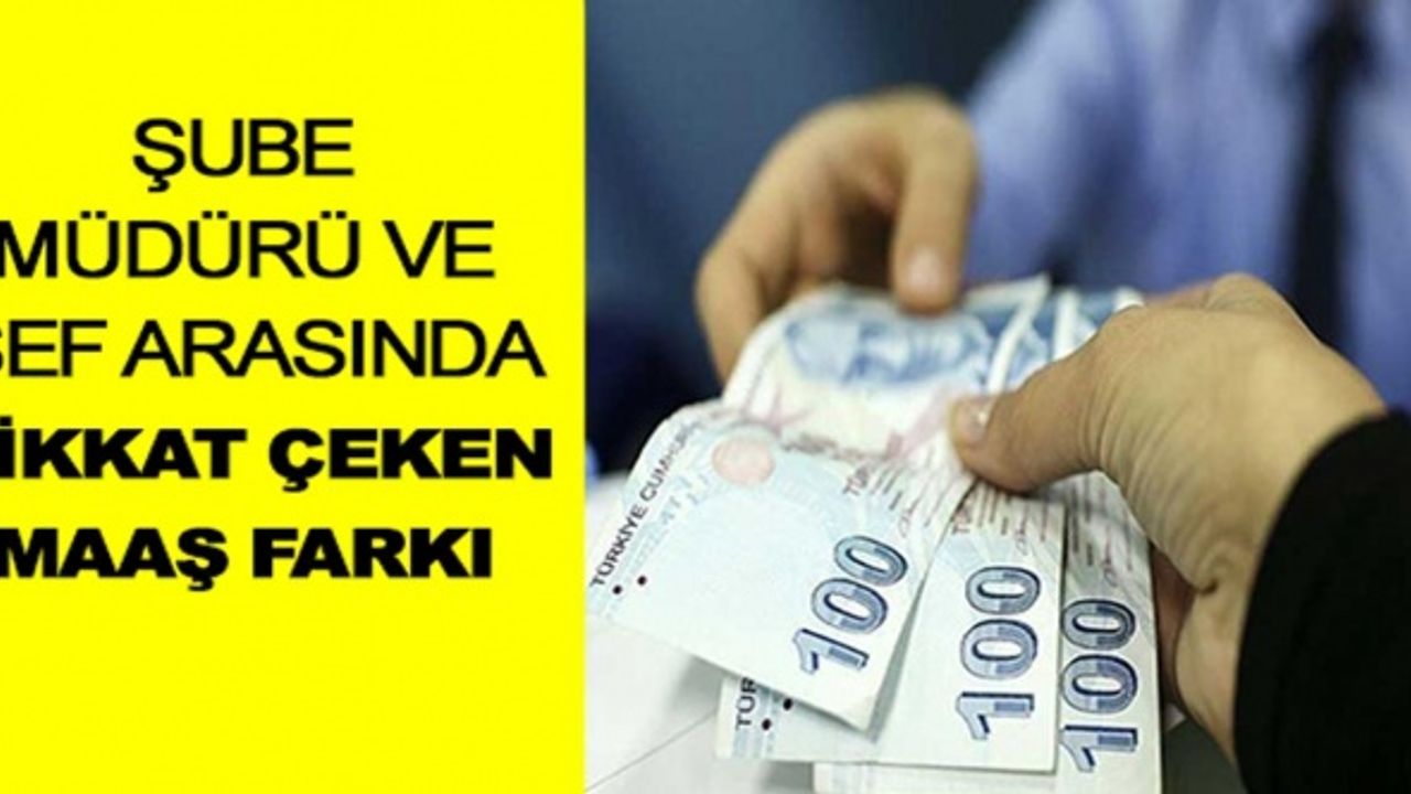 Şube müdürü ile şef arasında dikkat çeken maaş farkı!