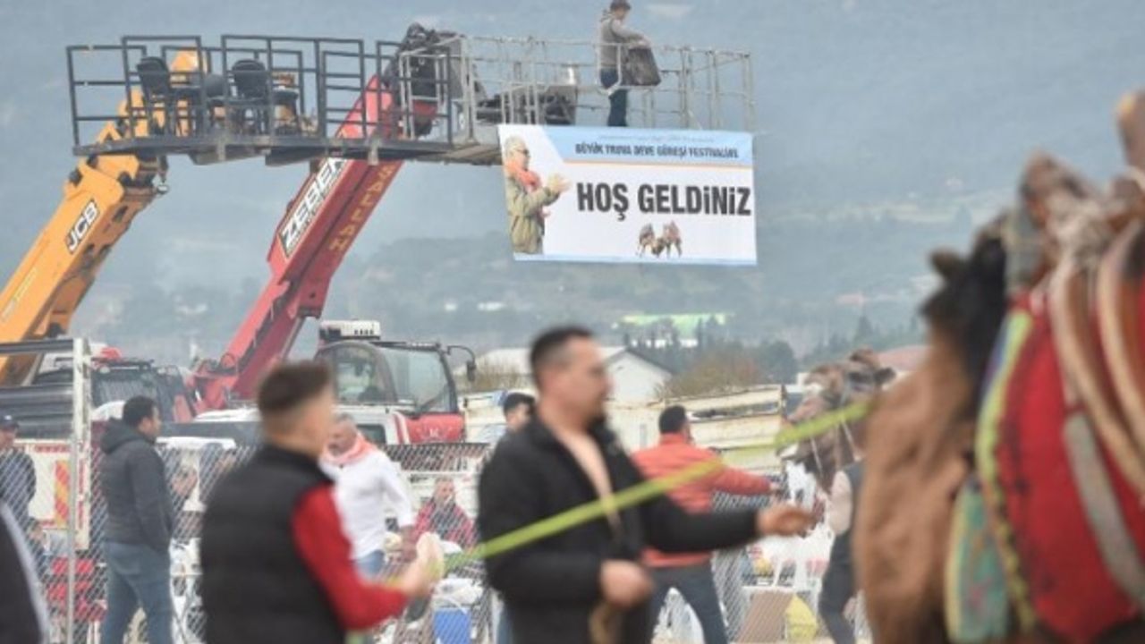 Çanakkale Belediyesi deve güreşi için yaklaşık 2 milyon TL ödedi