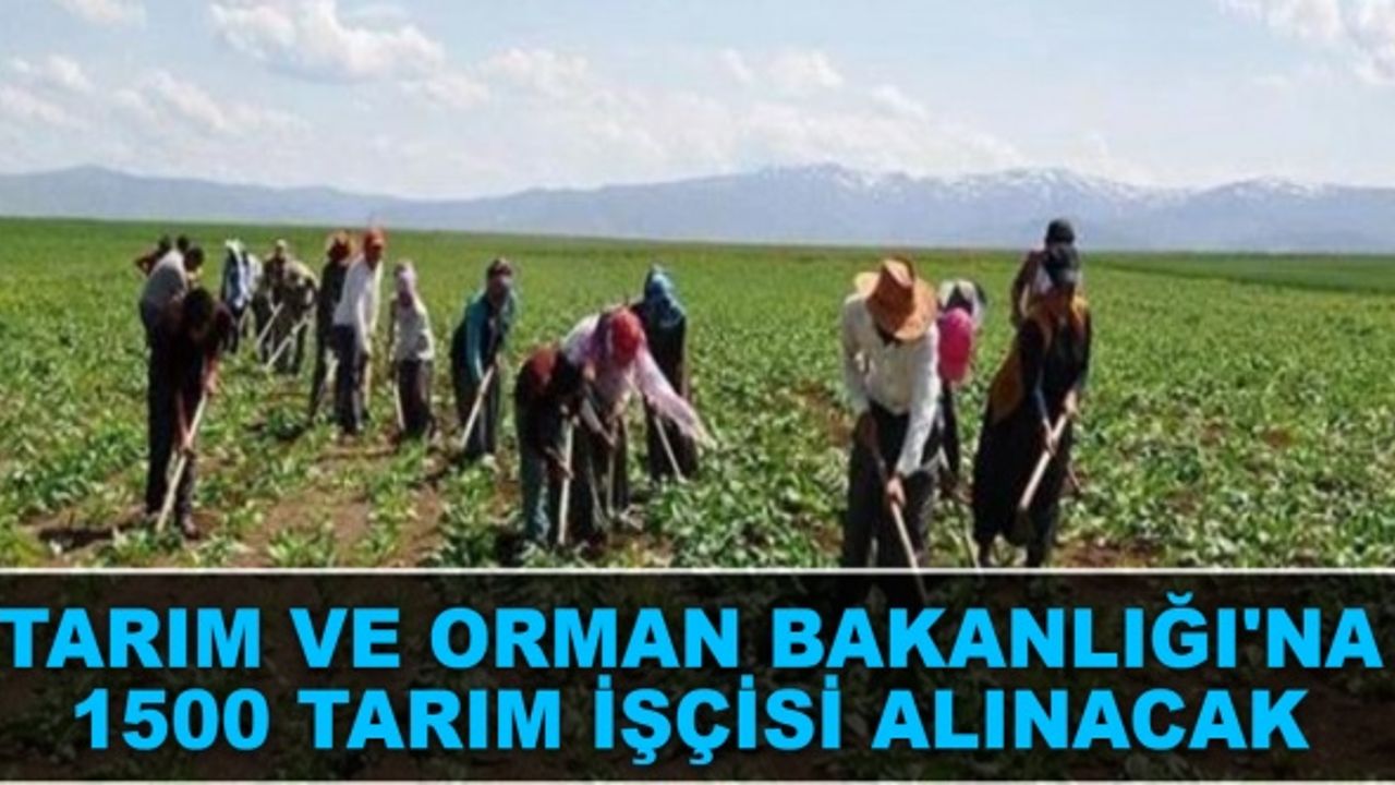 Tarım ve Orman Bakanlığı'na 1500 tarım işçisi alınacak