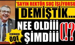 Suçu İşleyen Rektör, Parayı Ödeyen İse Üniversite