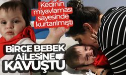 Kedinin miyavlaması sayesinde kurtarılan Birce bebek ailesine kavuştu