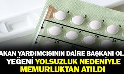 Bakan Yardımcısının Yeğeni Yolsuzluk Nedeniyle Memuriyetten Atıldı