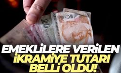 Emeklilere verilen ikramiye tutarı belli oldu!
