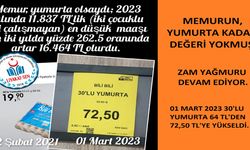 MEMURUN YUMURTA KADAR DEĞERİ YOKMUŞ!