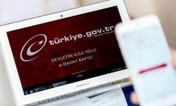 Seçmen Kayıtları 2023: e-Devlet Sorgulama, İtiraz Süreçleri ve Seçmen Listeleri