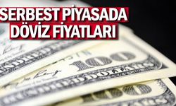 Serbest piyasada döviz fiyatları