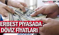 Serbest piyasada döviz fiyatları