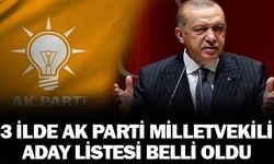 Ak Parti'de 3 ilde milletvekili adayları listesi belli oldu