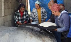 Depremzedeler, diğer depremzedeler için ekmek pişiriyor