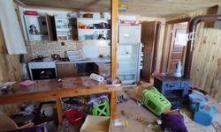 Dev ayı 4 aydır yaylada girilmedik ev bırakmadı