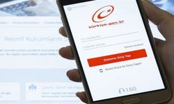 E-devlet Seçmen Bilgileri Sorgulama Sayfası Erişime Açıldı. Nerede Oy Kullanacağım T.C Kimlik No İle Sorgula.