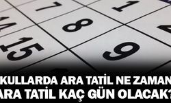Okullarda Ara tatil ne zaman?