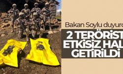 Van’da 1’i mavi kategoride olan 2 terörist etkisiz hale getirildi