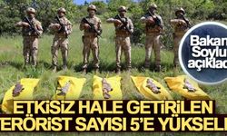 Bakan Soylu, Şırnak’ta etkisiz hale getirilen terörist sayısının 5’e yükseldiğini duyurdu