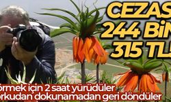 Görmek için 2 saat yürüdüler, korkudan dokunamadan geri döndüler