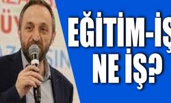EĞİTİM-İŞ NE İŞ?
