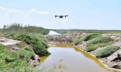 İzmir’de sivrisinek ile dronlu mücadele