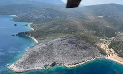 İzmir’deki orman yangınında gözaltına alınan şüpheliler serbest bırakıldı