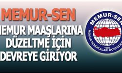 Memur Sen, Memur Maaşlarında Düzenlemeye İtiraz Ediyor