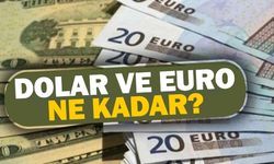 Serbest piyasada döviz fiyatları
