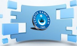 Türkiye Kamu Sen'den Çalışma Bakanlığına memur zammı ziyareti