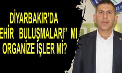 Diyarbakır’da “Şehir Buluşmaları” mı organize işler mi?