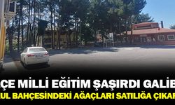 İlçe Milli Eğitim Müdürlüğü Okuldaki Ağaçları Satıyor!