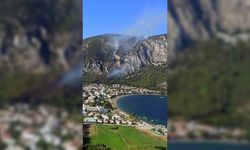 Milas Ören yangını kısmen kontrol altında