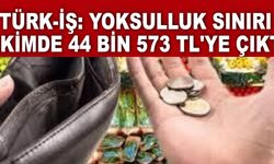 Türk-İş: Yoksulluk sınırı ekimde 44 bin 573 TL'ye çıktı