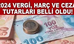 2024 vergi, harç ve ceza tutarları belli oldu!