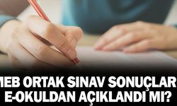 MEB Ortak Sınav Sonuçları E-Okuldan Ne Zaman Açıklanacak?