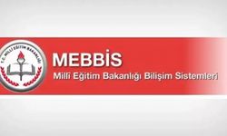 Mesleki çalışmalara karışım durumunu gösteren liste MEBSİS üzerinden açıldı!