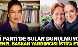 İYİ Parti'de sular durulmuyor: Genel Başkan Yardımcısı da istifa etti