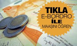 Memurların Aralık Maaş Bordroları Açıklandı TIKLA-ÖĞREN