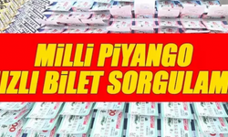 MİLLİ PİYANGO büyük ikramiye ve amorti sorgulama ekranı